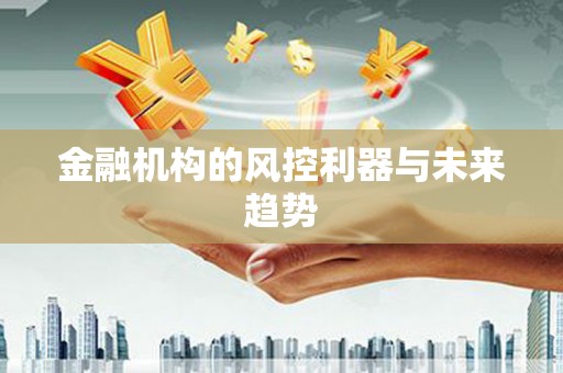 安源金融机构的风控利器与未来趋势