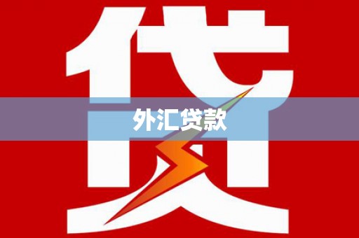 安源外汇贷款