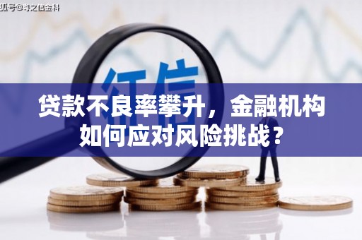 安源贷款不良率攀升，金融机构如何应对风险挑战？