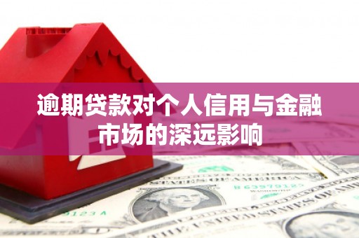 安源逾期贷款对个人信用与金融市场的深远影响