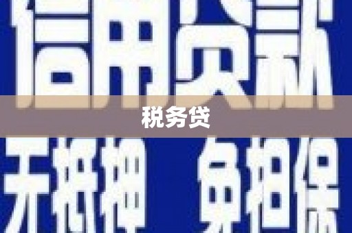 安源税务贷