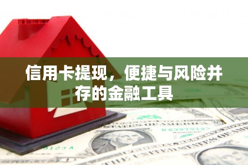 安源信用卡提现，便捷与风险并存的金融工具