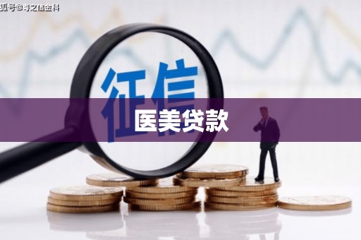 安源医美贷款