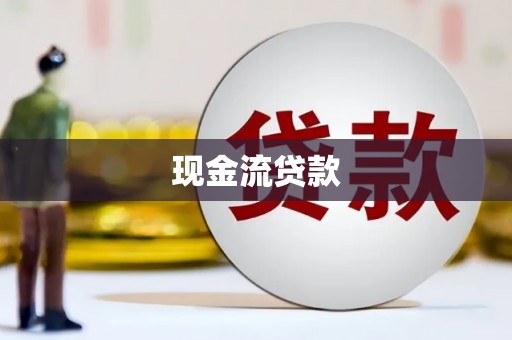 安源现金流贷款