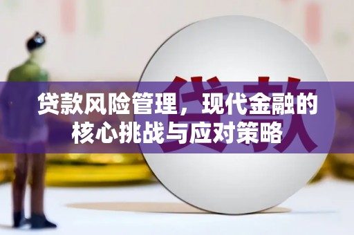安源贷款风险管理，现代金融的核心挑战与应对策略