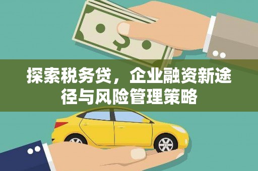 安源探索税务贷，企业融资新途径与风险管理策略