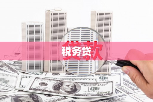 安源税务贷