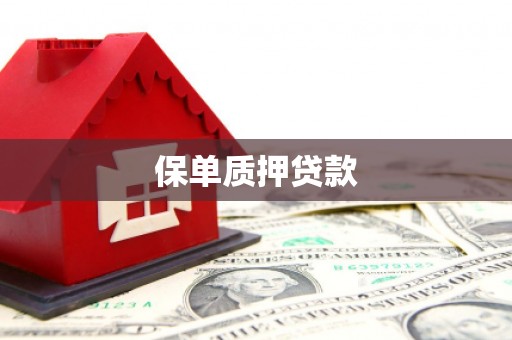 安源保单质押贷款