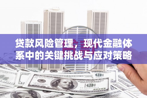 安源贷款风险管理，现代金融体系中的关键挑战与应对策略
