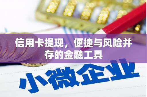 安源信用卡提现，便捷与风险并存的金融工具