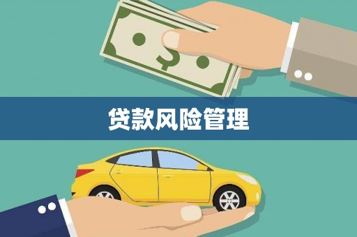 安源贷款风险管理
