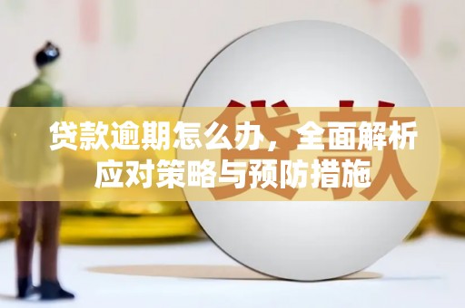 安源贷款逾期怎么办，全面解析应对策略与预防措施