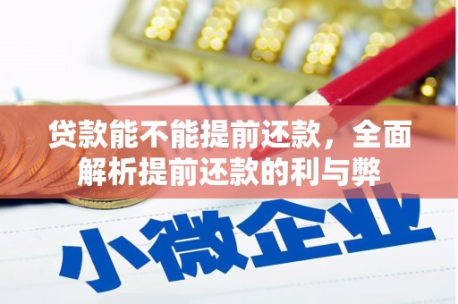 安源贷款能不能提前还款，全面解析提前还款的利与弊