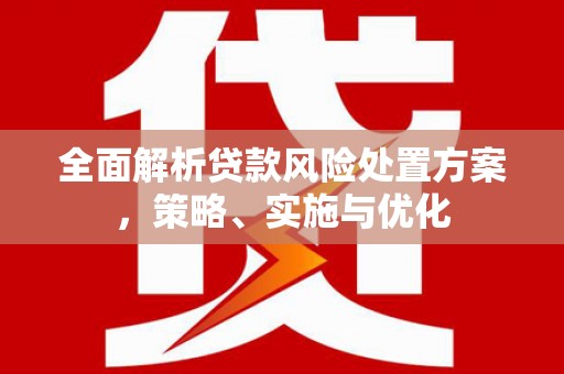 安源全面解析贷款风险处置方案，策略、实施与优化