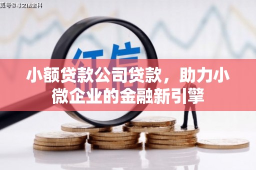 安源小额贷款公司贷款，助力小微企业的金融新引擎