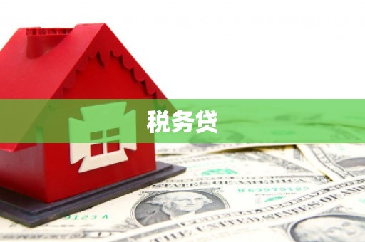 安源税务贷