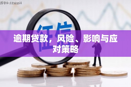 安源逾期贷款，风险、影响与应对策略