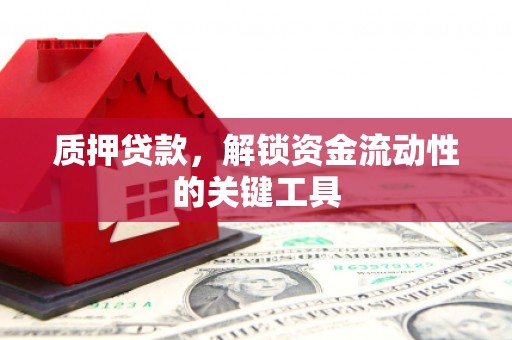 安源质押贷款，解锁资金流动性的关键工具