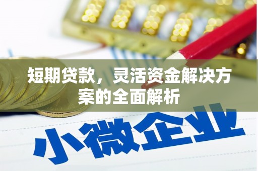 安源短期贷款，灵活资金解决方案的全面解析