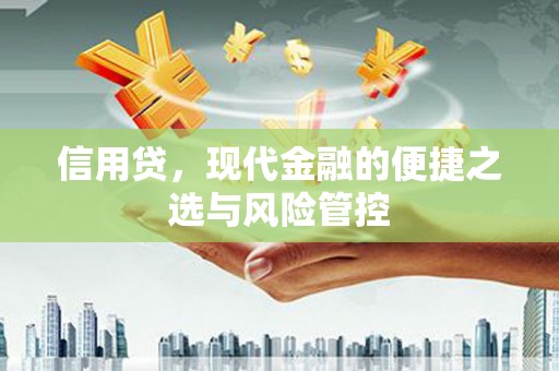 安源信用贷，现代金融的便捷之选与风险管控