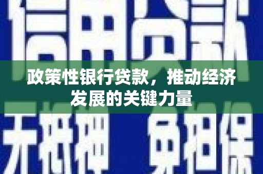 安源政策性银行贷款，推动经济发展的关键力量