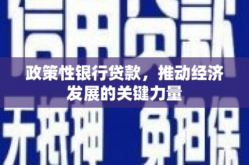 安源政策性银行贷款，推动经济发展的关键力量