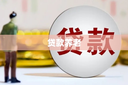 安源贷款养老