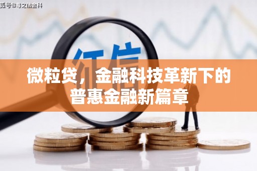 安源微粒贷，金融科技革新下的普惠金融新篇章