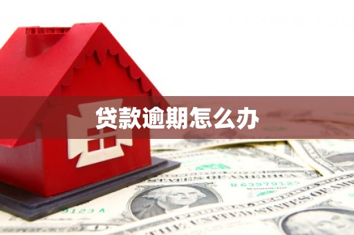 安源贷款逾期怎么办