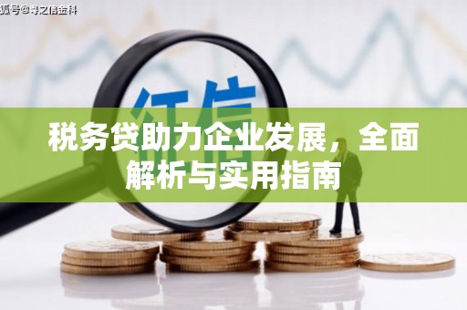 安源税务贷助力企业发展，全面解析与实用指南