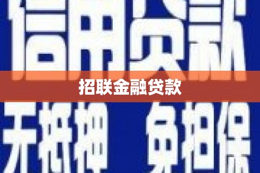 安源招联金融贷款