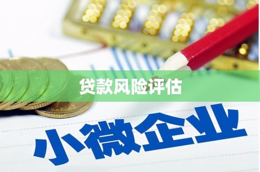 安源贷款风险评估