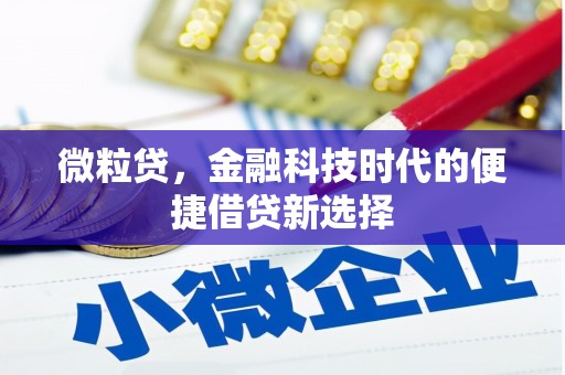 安源微粒贷，金融科技时代的便捷借贷新选择