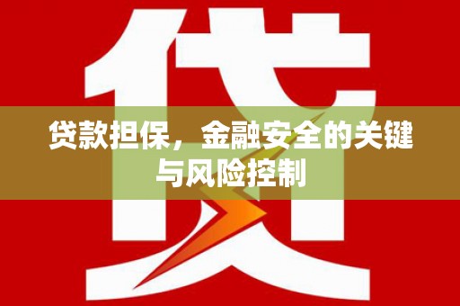安源贷款担保，金融安全的关键与风险控制