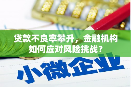 安源贷款不良率攀升，金融机构如何应对风险挑战？