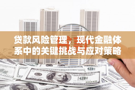 安源贷款风险管理，现代金融体系中的关键挑战与应对策略