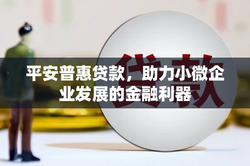 安源平安普惠贷款，助力小微企业发展的金融利器