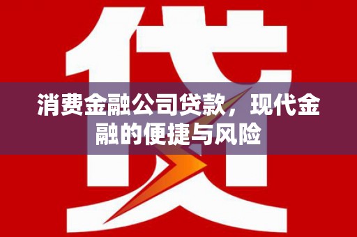 安源消费金融公司贷款，现代金融的便捷与风险
