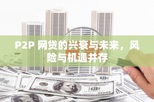 安源P2P 网贷的兴衰与未来，风险与机遇并存