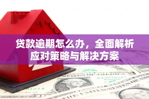 安源贷款逾期怎么办，全面解析应对策略与解决方案