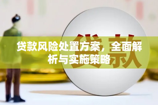 安源贷款风险处置方案，全面解析与实施策略
